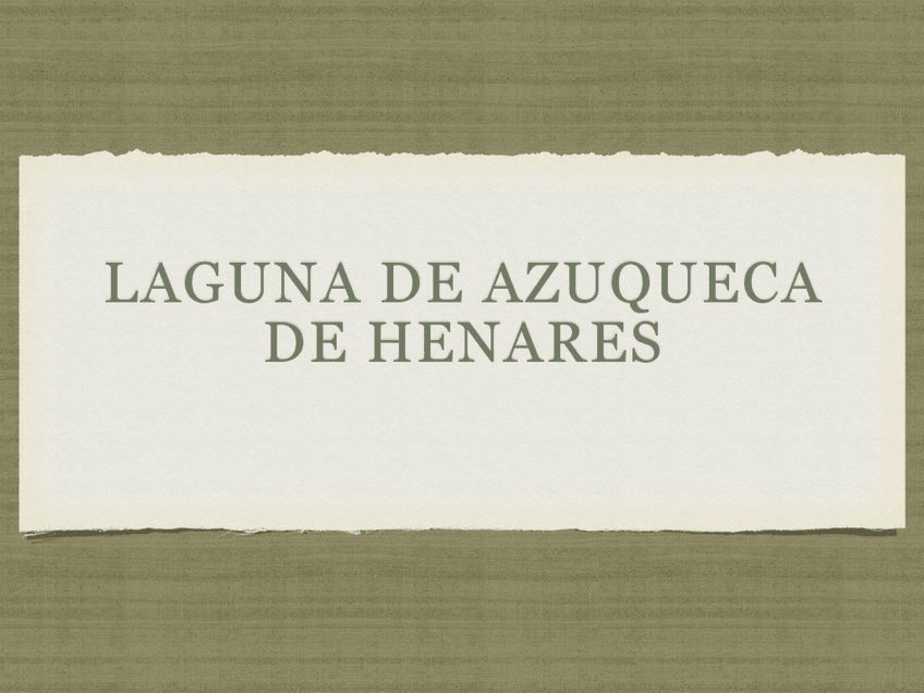 Miniatura del documento visu-1-azuqueca.pdf