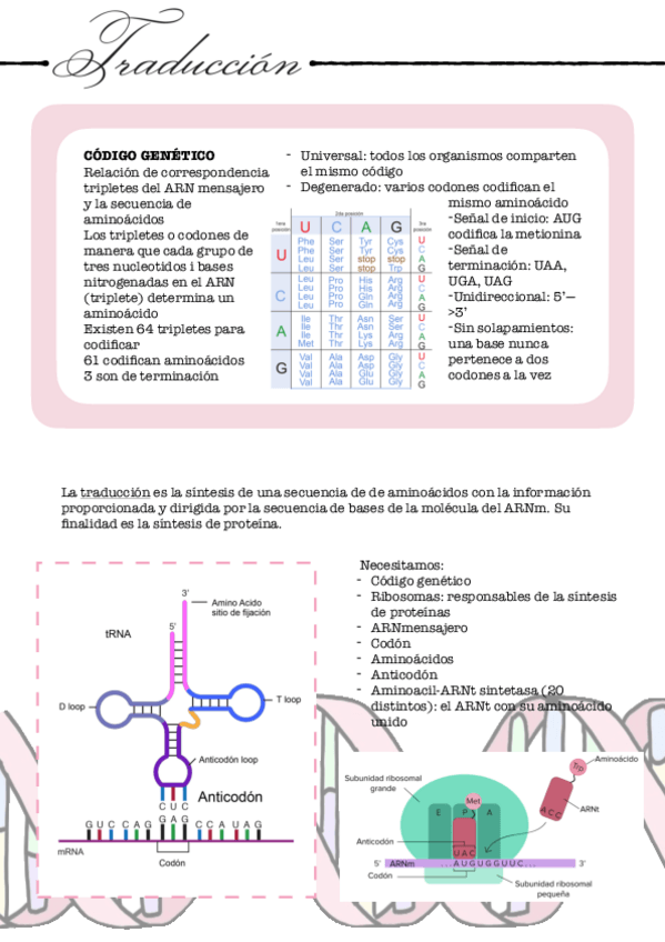 Miniatura del documento Traduccion-.pdf
