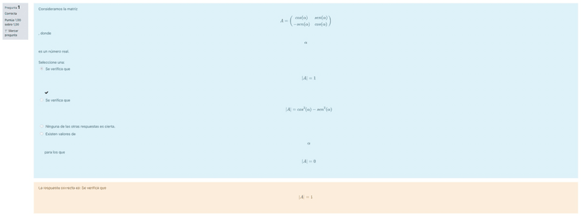 Miniatura del documento CUESTIONARIO-ALGEBRA-RESUELTO.pdf