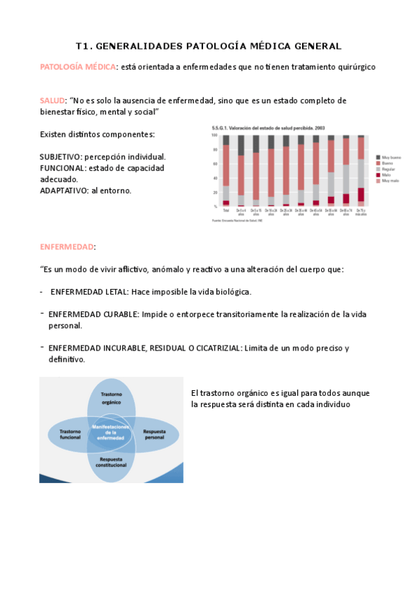 Miniatura del documento T1.pdf