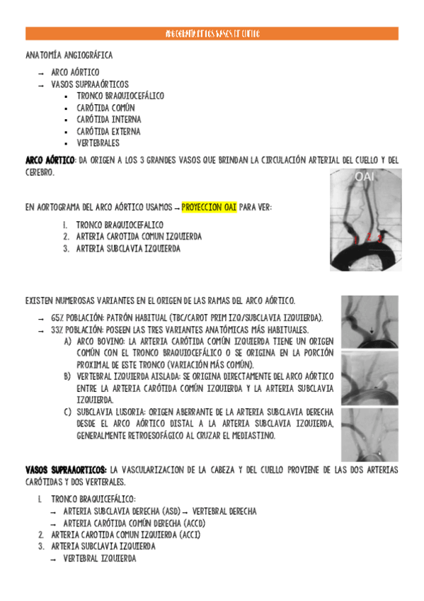 Miniatura del documento Anatomia-angiografica.pdf