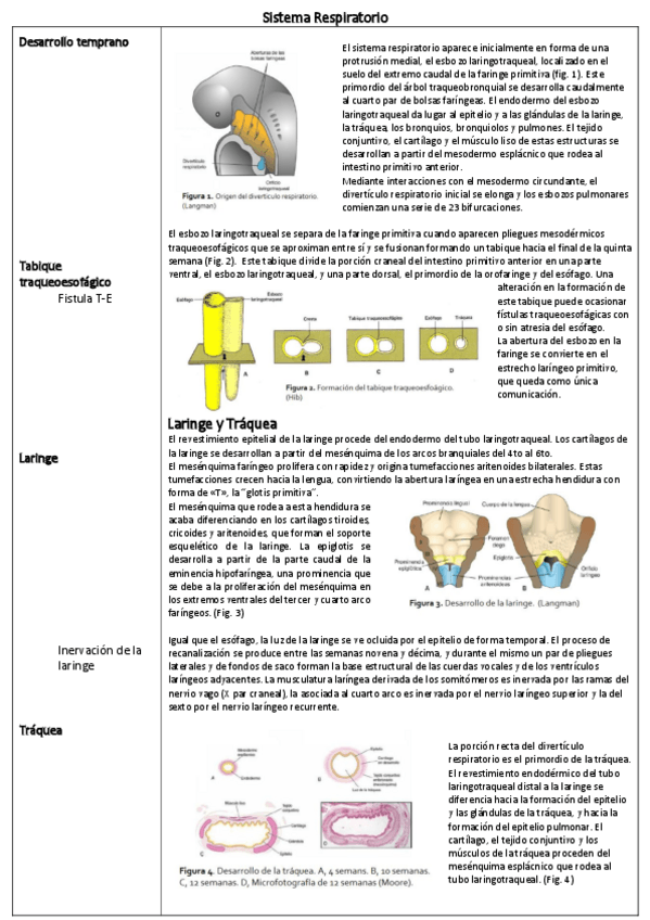Miniatura del documento Resumen-Respi-unidad-6.pdf