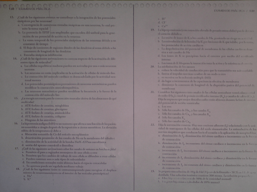 Miniatura del documento DSC00086.JPG