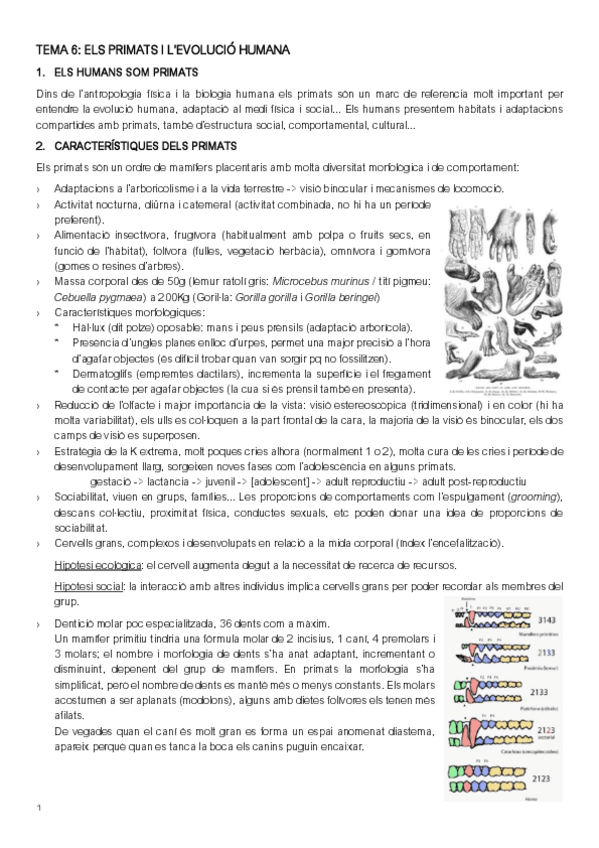 Miniatura del documento BIO-HUMANA-PARCIAL-2.pdf