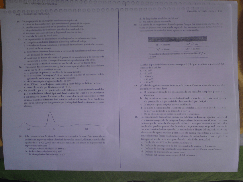 Miniatura del documento DSC00088.JPG