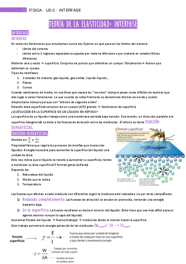 Miniatura del documento 4.pdf