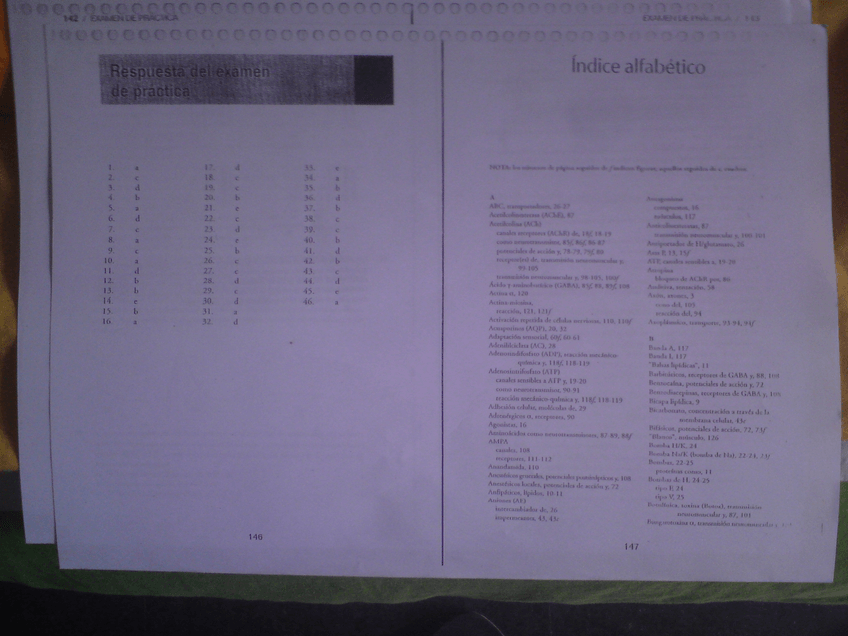 Miniatura del documento DSC00090.JPG