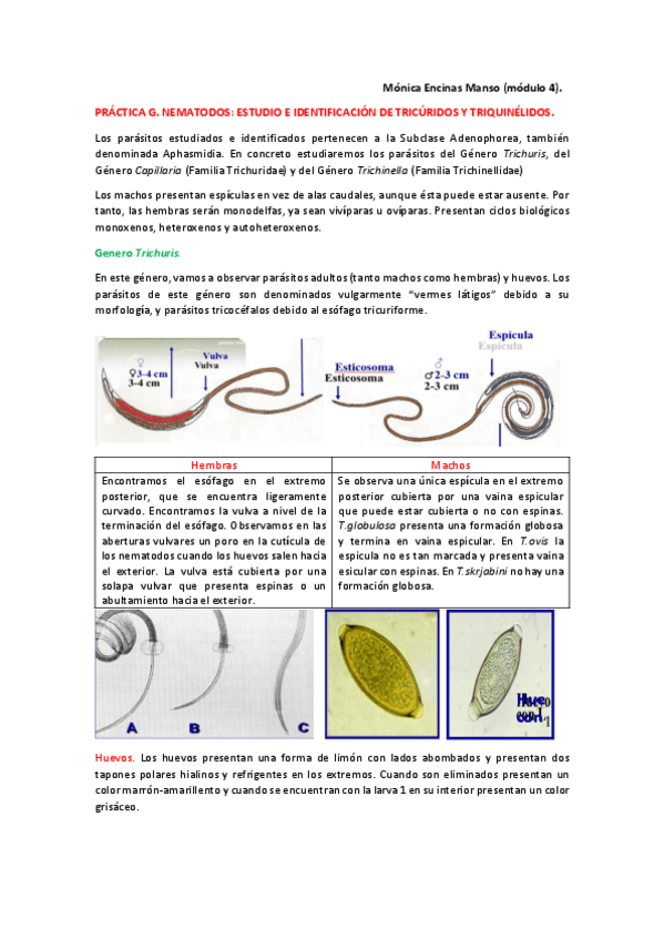 Miniatura del documento Parasitologia-Practica-G.pdf