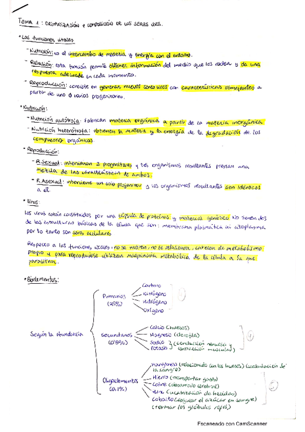 Miniatura del documento tema-1-organizacion-y-composicion-de-los-sv-tema-2-la-celula-tema-3-tejidos-vegetales.pdf