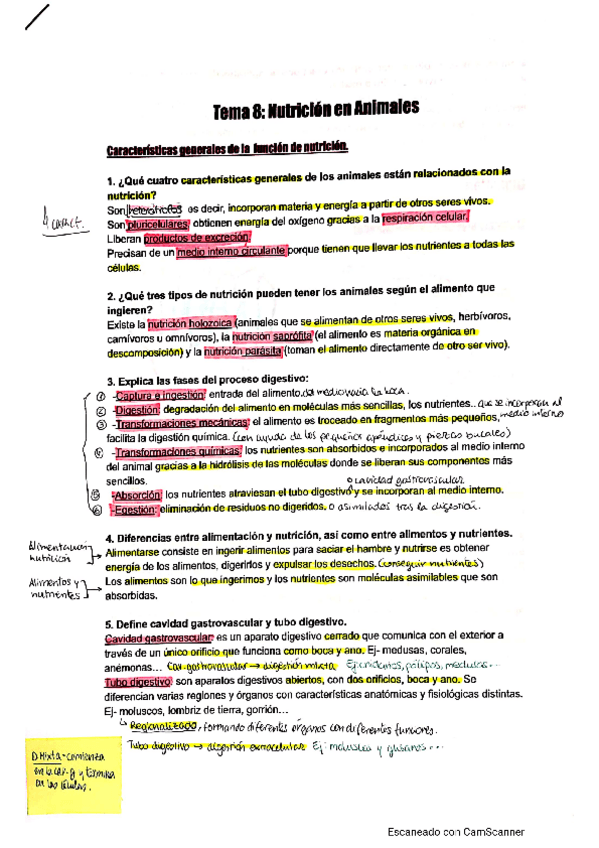 Miniatura del documento tema-8-y-9-nutricion-en-animales-digestion-y-respiracion-excrecion-y-circulacion.pdf
