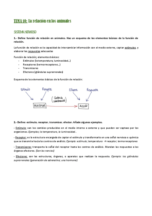 Miniatura del documento Tema-10-Relacion-en-animales.pdf