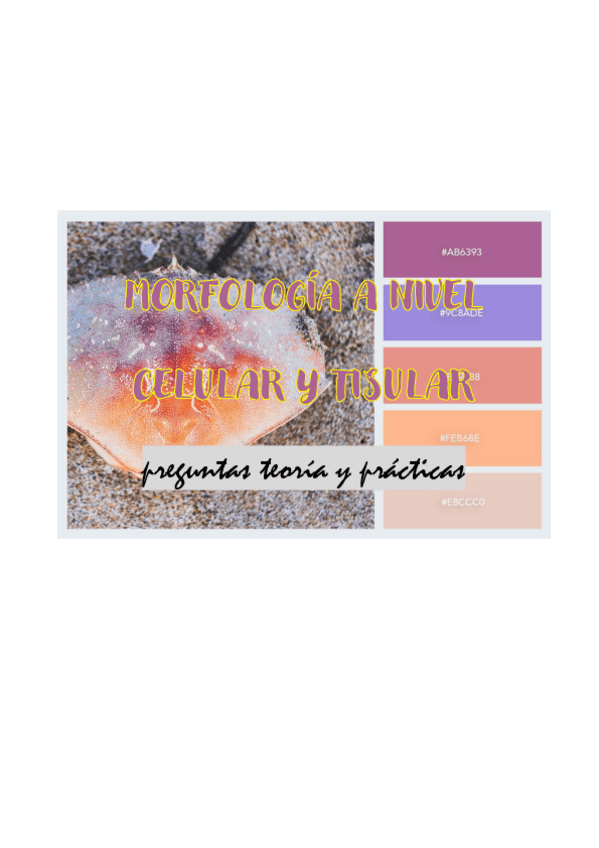 Miniatura del documento MCEL-P1-Preguntas-2020.pdf