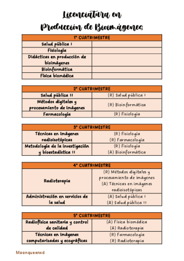 Miniatura del documento PLAN-DE-ESTUDIO-DE-LIC-EN-BIOIMAGENES-UBA.pdf
