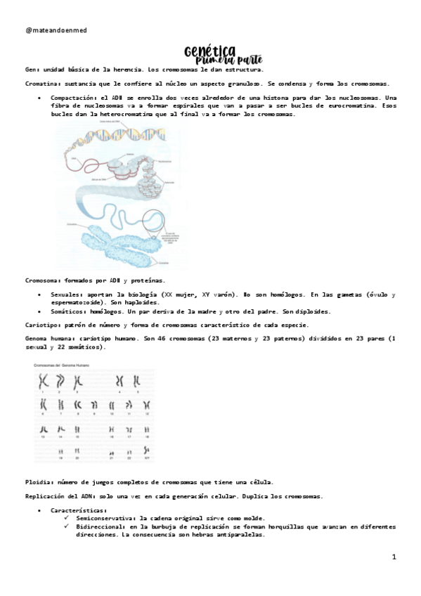 Miniatura del documento GENETICA-1.pdf