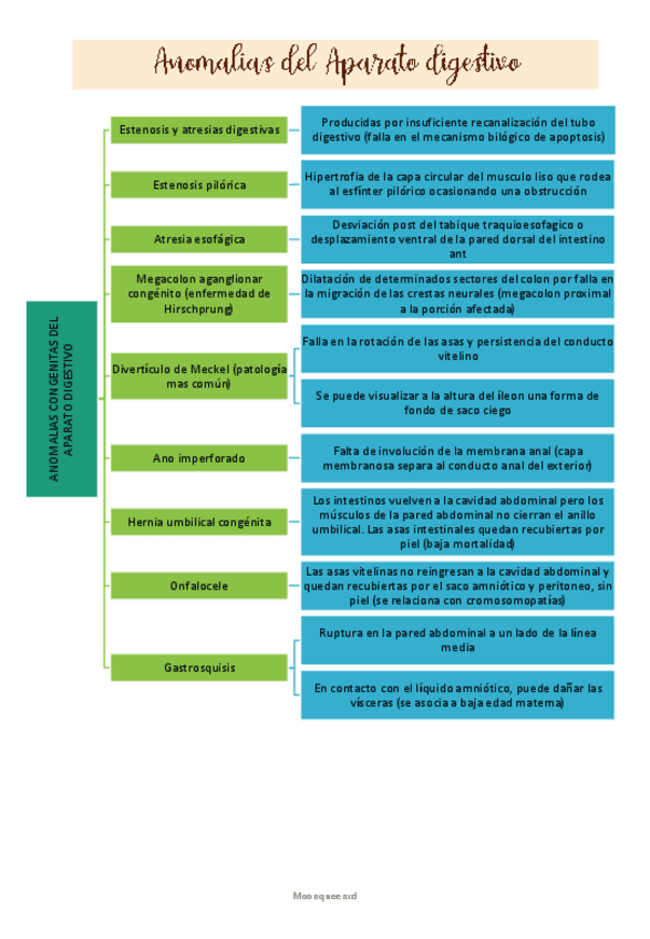 Miniatura del documento Anomalias-del-aparato-digestivo.pdf