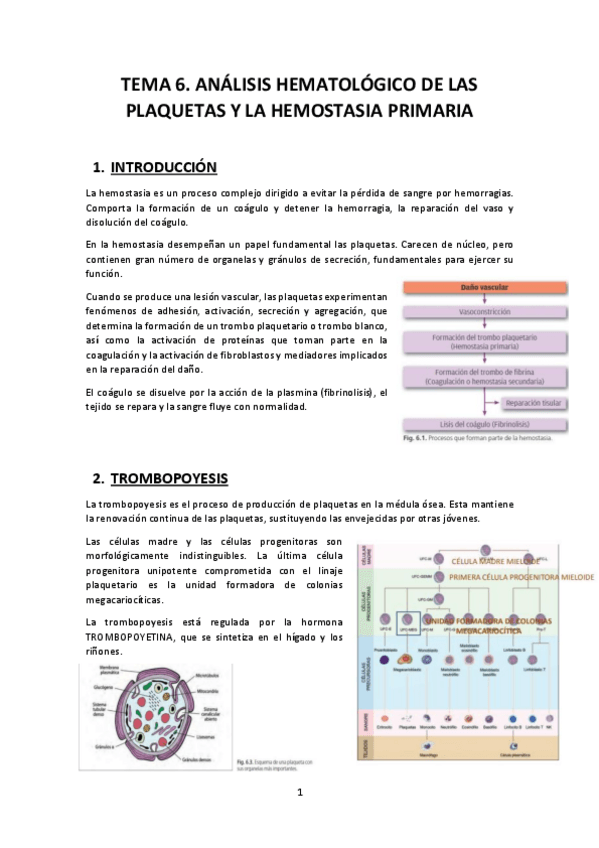 Miniatura del documento TEMA-6.pdf