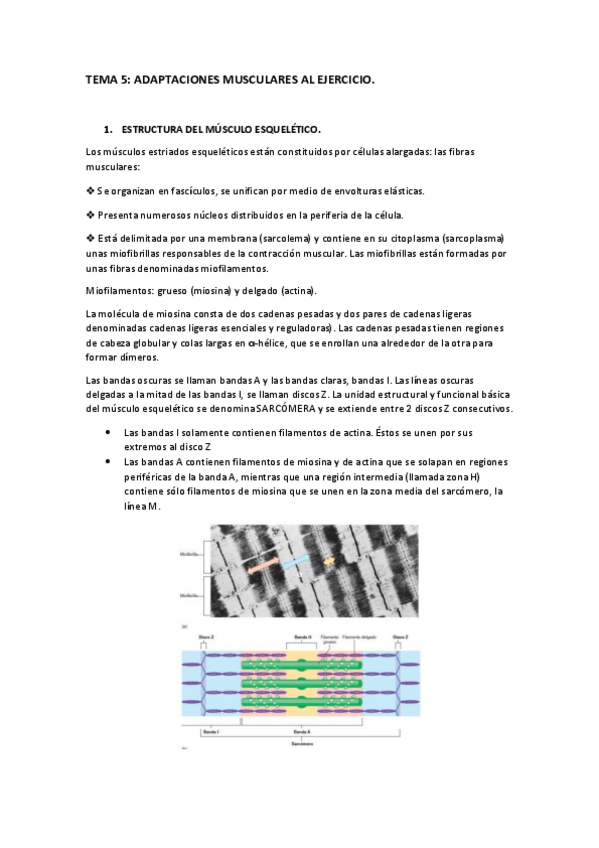 Miniatura del documento resumen-fisiologia.pdf