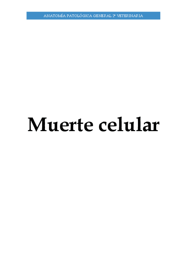 Miniatura del documento Muerte-Celular.pdf