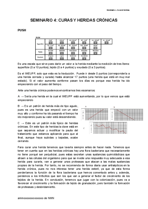 Miniatura del documento SEMINARIO-4-CURAS-Y-HERIDAS-CRONICAS.pdf