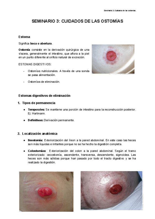 Miniatura del documento seminario-3.pdf