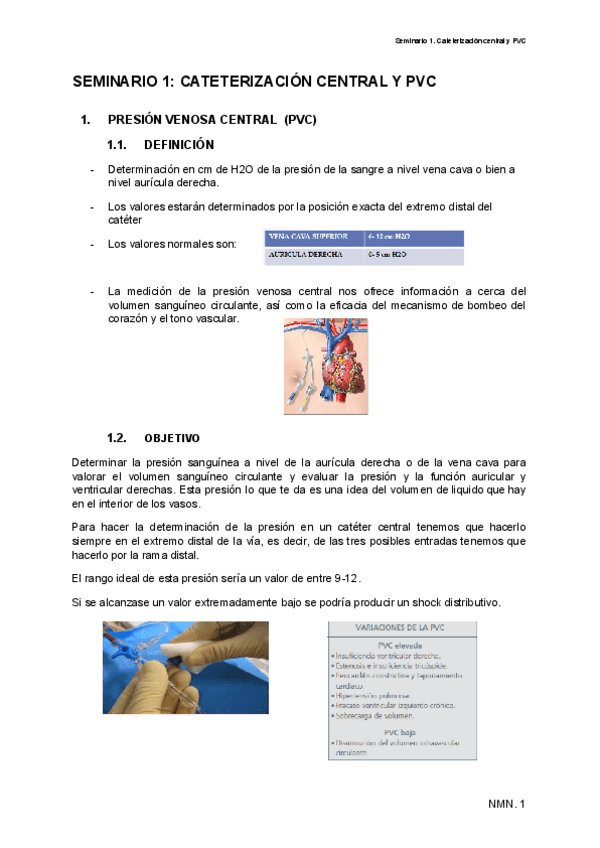 Miniatura del documento SEMINARIO-1-CATETERIZACION-CENTRAL-Y-PVC.pdf