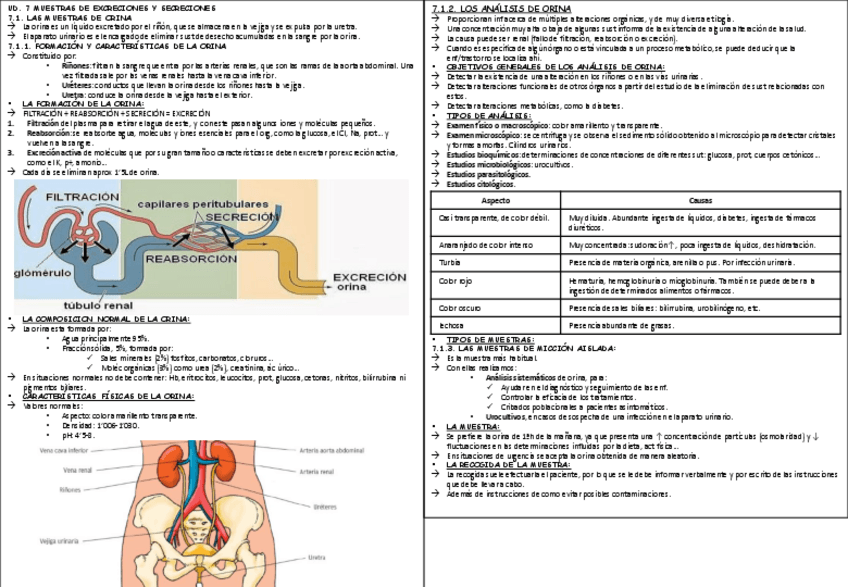 Miniatura del documento TEMA-7-GMB.pdf