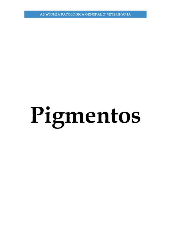 Miniatura del documento CM-II-Pigmentos.pdf