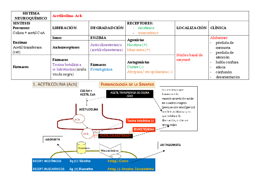 Miniatura del documento TABLA-Y-DIBUJOS.pdf