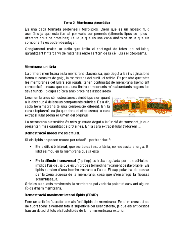 Miniatura del documento Tema-2.pdf