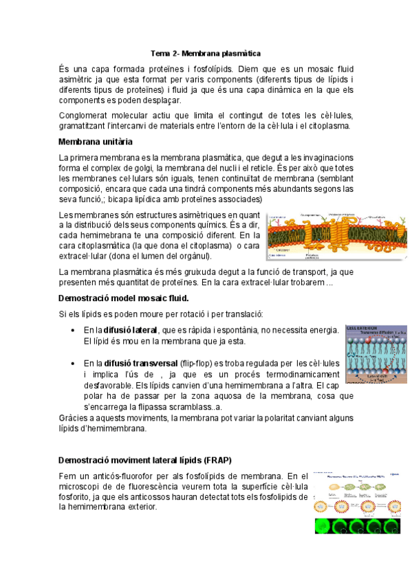 Miniatura del documento Tema-2.pdf