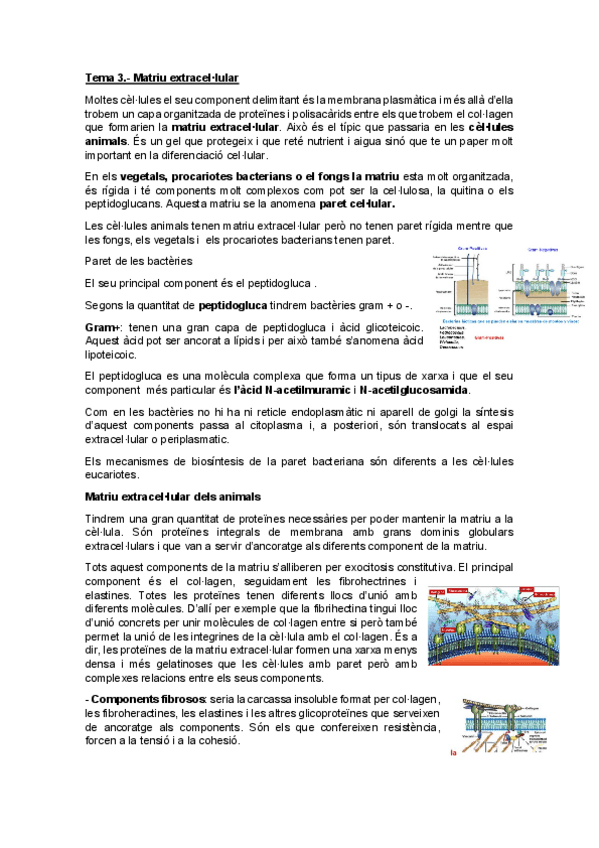 Miniatura del documento Tema-3.pdf