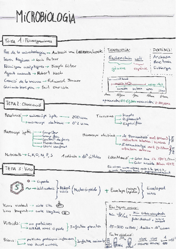 Miniatura del documento Apunts-microbiologia.pdf