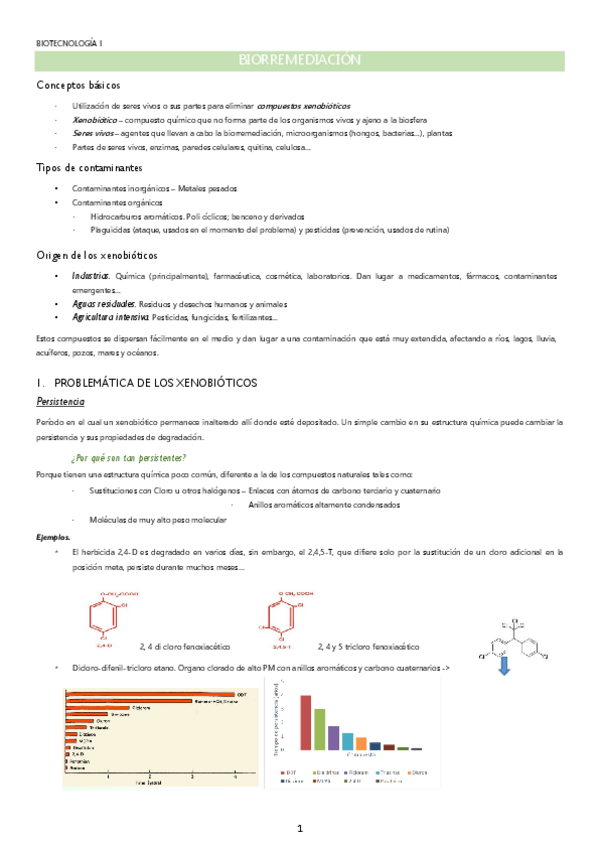 Miniatura del documento Apuntes-Bio-I-parte-III-w.pdf