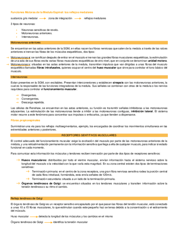 Miniatura del documento cap54guyton.pdf