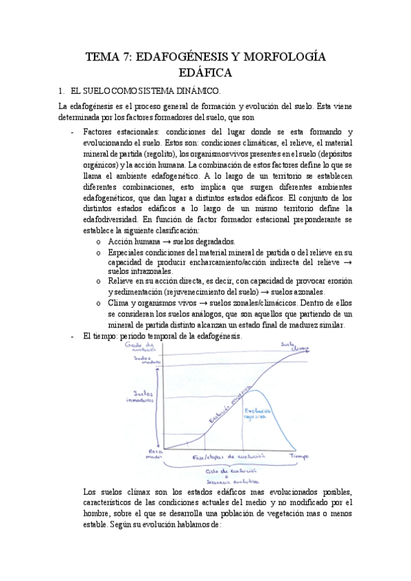 Miniatura del documento TEMA-7-Edafogenesis-y-morfologia-edafica.pdf