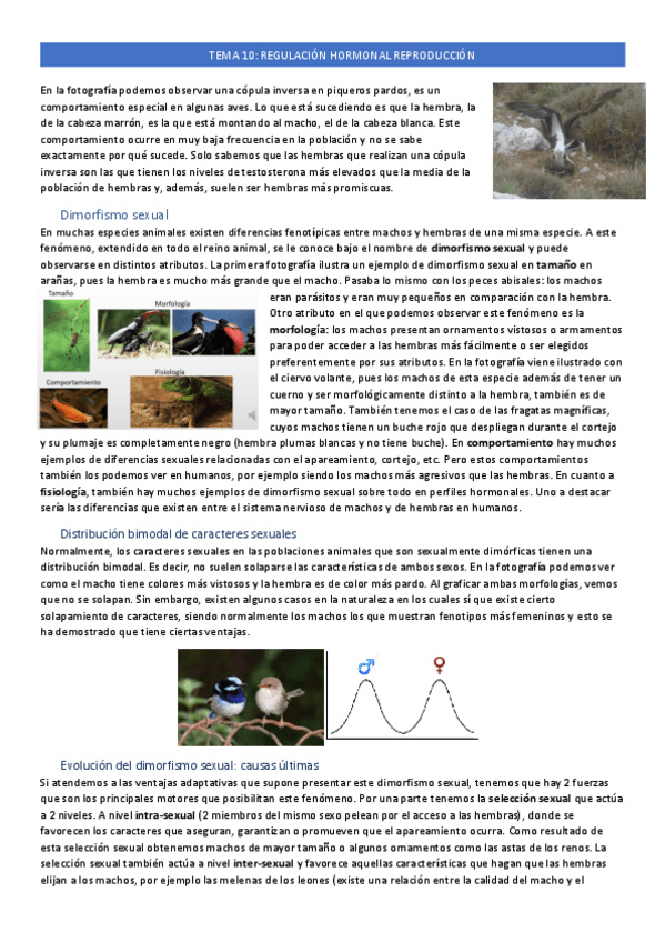 Miniatura del documento tema-10.pdf