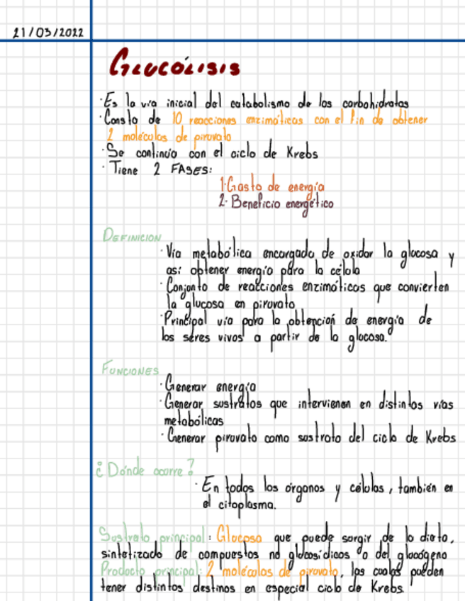 Miniatura del documento GLUCOLISIS.pdf