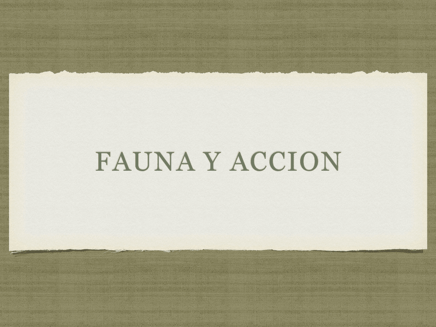 Miniatura del documento visu-3-fauna-y-accion.pdf