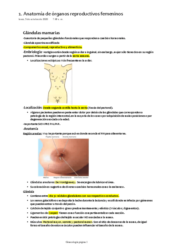 Miniatura del documento 1.pdf