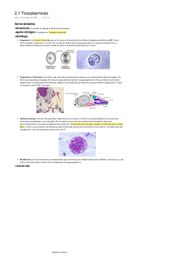 Miniatura del documento Toxoplasmosis-embarazo.pdf