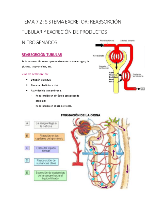 Miniatura del documento t-7.pdf