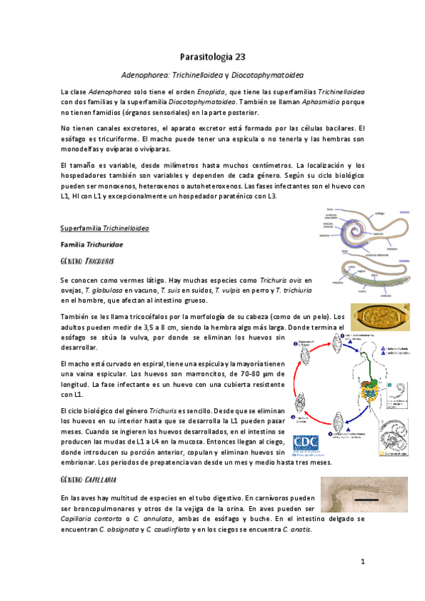 Miniatura del documento Parasitologia-23.pdf