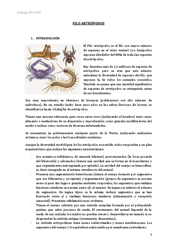 Miniatura del documento APUNTES-ARTROPODOS-COMPLETO.pdf