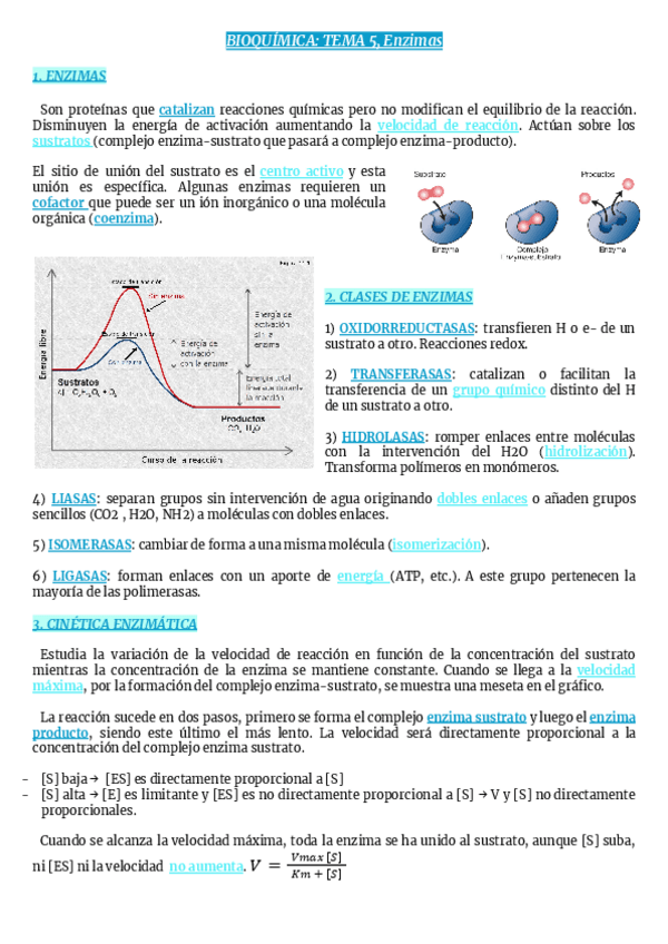Miniatura del documento TEMA-5-Enzimas.pdf