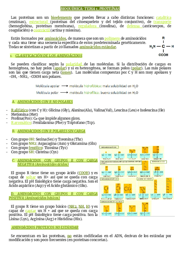 Miniatura del documento TEMA-1-Proteinas.pdf