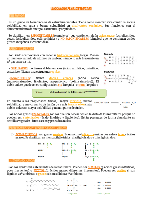 Miniatura del documento TEMA-3-Lipidos.pdf