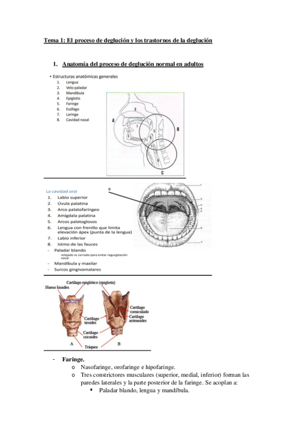 Miniatura del documento Tema-1-DISFAGIA.pdf
