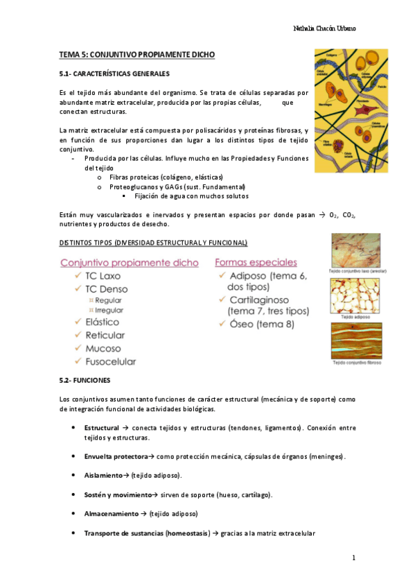 Miniatura del documento TEMA-5-CONJUNTIVO-PROPIAMENTE-DICHO.pdf