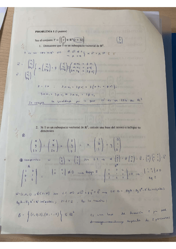 Miniatura del documento IMG-8133.pdf