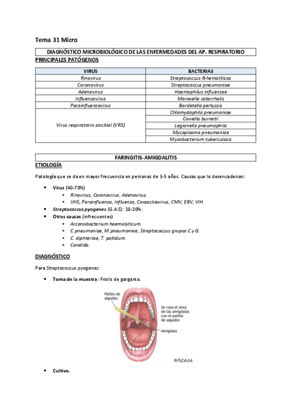 Miniatura del documento Tema-31-Micro-II-2.pdf